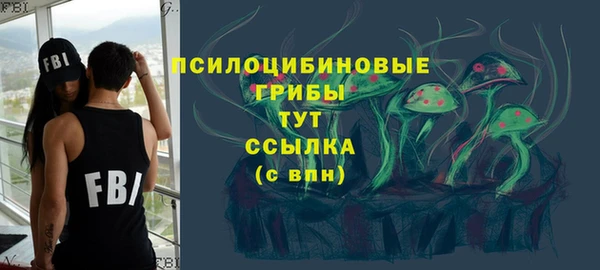 метадон Гусиноозёрск