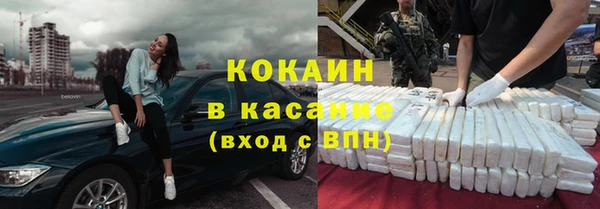 ПСИЛОЦИБИНОВЫЕ ГРИБЫ Гусев