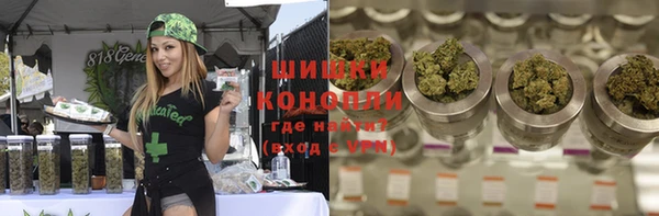 ешки Гусь-Хрустальный
