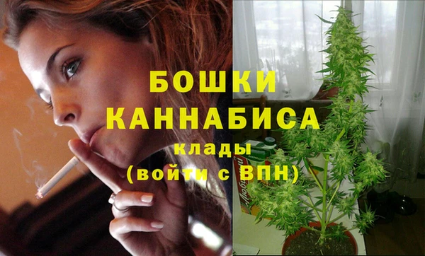 ешки Гусь-Хрустальный