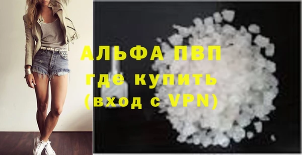 ПСИЛОЦИБИНОВЫЕ ГРИБЫ Гусев