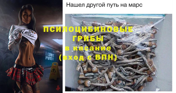 ешки Гусь-Хрустальный