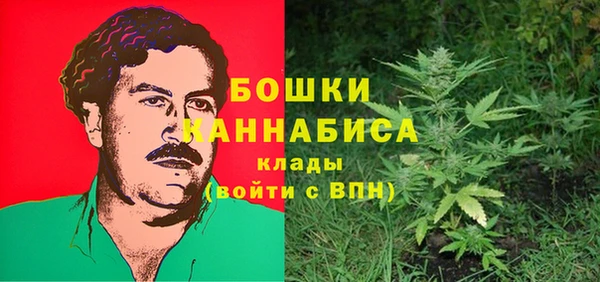 метадон Гусиноозёрск