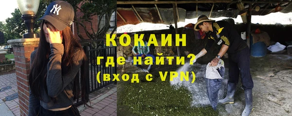ПСИЛОЦИБИНОВЫЕ ГРИБЫ Гусев