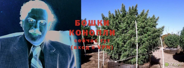 метадон Гусиноозёрск