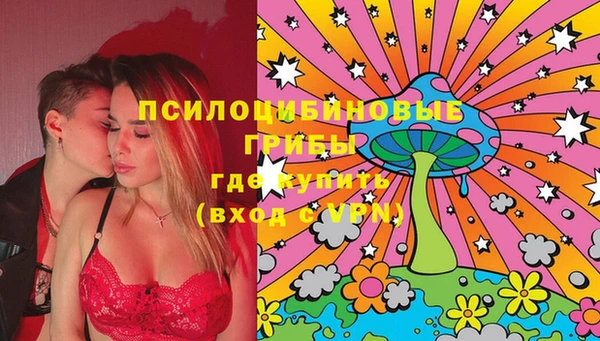 ешки Гусь-Хрустальный