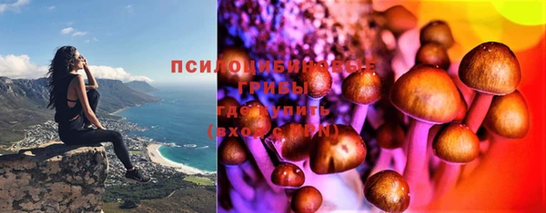 ПСИЛОЦИБИНОВЫЕ ГРИБЫ Гусев