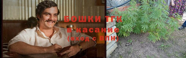 ПСИЛОЦИБИНОВЫЕ ГРИБЫ Гусев