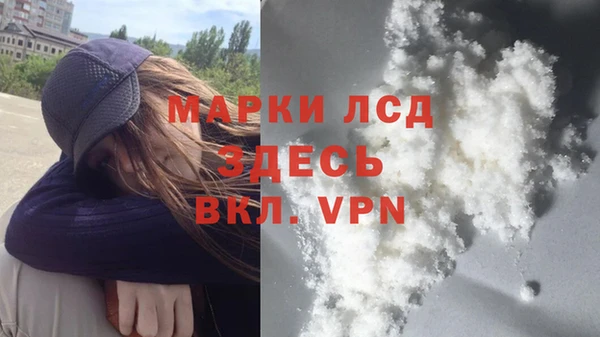 ПСИЛОЦИБИНОВЫЕ ГРИБЫ Гусев