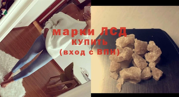 ПСИЛОЦИБИНОВЫЕ ГРИБЫ Гусев