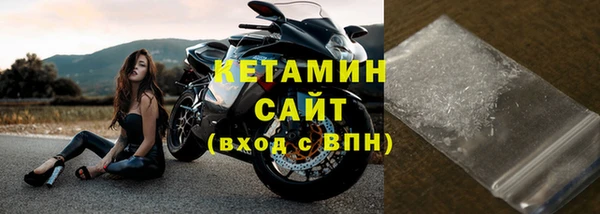 ПСИЛОЦИБИНОВЫЕ ГРИБЫ Гусев