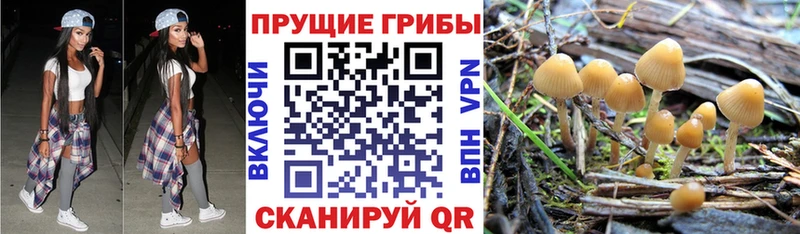 Галлюциногенные грибы Magic Shrooms Ядрин